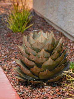 Desert Steel Artichoke Agave Sculpture 13 Desert Steel Artichoke Agave Sculpture -Garden Care Store 8610761 042v