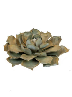 Desert Steel Blue Rose Succulent Sculpture 11 Desert Steel Blue Rose Succulent Sculpture -Garden Care Store 8610763 01v desert steel blue rose succulent small