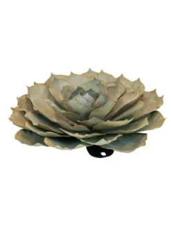 Desert Steel Blue Rose Succulent Sculpture 12 Desert Steel Blue Rose Succulent Sculpture -Garden Care Store 8610765 01v desert steel blue rose succulent medium