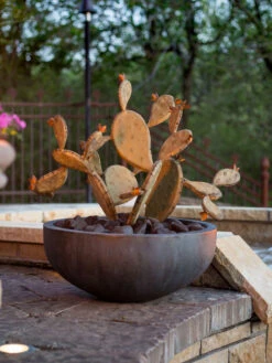Desert Steel Prickly Pear Cactus Sculpture, Redondo -Garden Care Store 8610768 03v