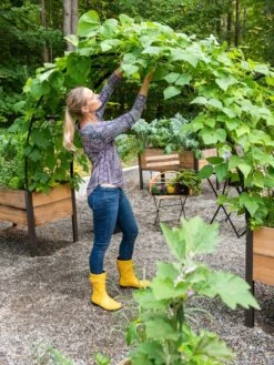 2’ X 8’ Arch Trellis For Planter Boxes 15 2’ X 8’ Arch Trellis For Planter Boxes -Garden Care Store 8610798 050 tif