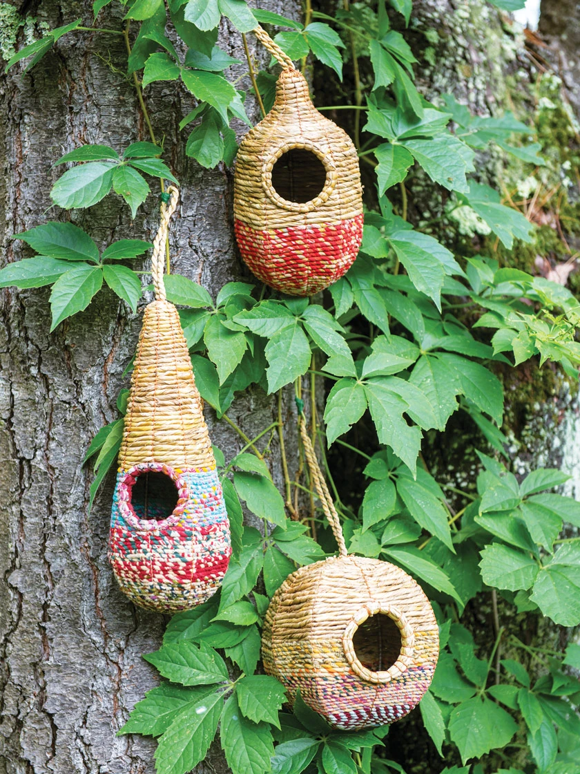 Artisan Bird Nester 3 Artisan Bird Nester