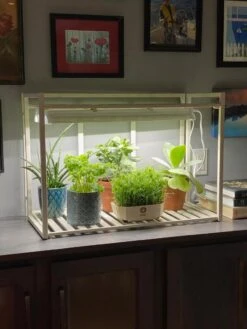 Oslo 1-Tier LED Grow Light Garden 14 Oslo 1-Tier LED Grow Light Garden -Garden Care Store 8611002 01IN tif