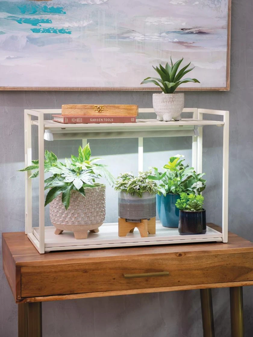 Oslo 1-Tier LED Grow Light Garden 4 Oslo 1-Tier LED Grow Light Garden - Image 2