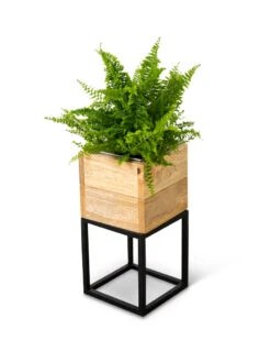 Tartu Elevated Square Planters -Garden Care Store 8611004 038