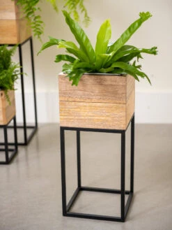 Tartu Elevated Square Planters -Garden Care Store 8611005 035