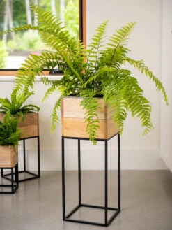 Tartu Elevated Square Planters -Garden Care Store 8611006 034