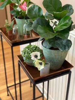 Square Nesting Plant Stands With Trays, Set Of 2 10 Square Nesting Plant Stands With Trays, Set Of 2 -Garden Care Store 8611014 3651 tif