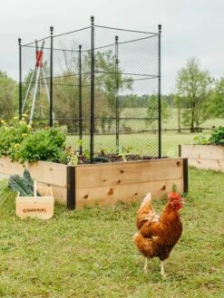 Tall Chicken Wire Critter Fence With Gate -Garden Care Store 8611020 316 tif