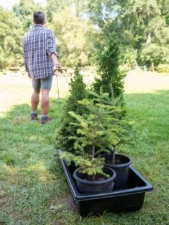 Gardener's Summer Sled And Cover -Garden Care Store 8611044 229 tif