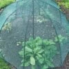 GardenSkill Pop N Crop Plant Umbrella -Garden Care Store 8611105 01V tif