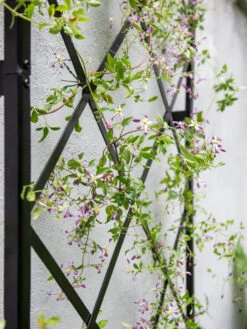 Lattice Gable Wall Trellis 8 Lattice Gable Wall Trellis -Garden Care Store 8611130 011