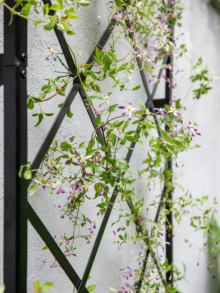 Lattice Gable Wall Trellis 5 Lattice Gable Wall Trellis - Image 3