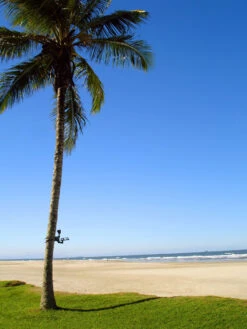 MAXSA® Solar-Powered LED Flag Light 9 MAXSA® Solar-Powered LED Flag Light -Garden Care Store 8611318 02v