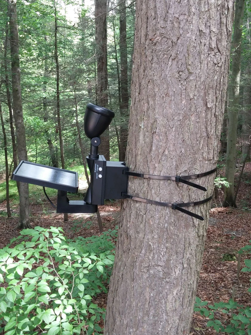 MAXSA® Solar-Powered LED Flag Light 7 MAXSA® Solar-Powered LED Flag Light - Image 5