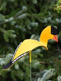 Florida Dancing Birds®, Songbirds -Garden Care Store 8611629 04v