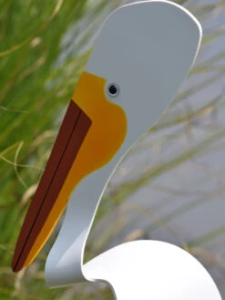 Florida Dancing Birds®, American White Pelican