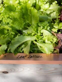 Re-Markable Raised Bed Trim -Garden Care Store 8611757 326 tif