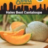 Hales Best Cantaloupe Organic Seeds -Garden Care Store 8611872 02v hales best cantaloupe organic seeds