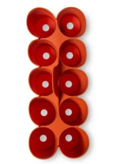 Sili-Seedlings® Seedling Tray, 10-Cell -Garden Care Store 8611886 3821 tif