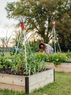 DIY Connector For Teepee Trellis 21 DIY Connector For Teepee Trellis -Garden Care Store 8611896 38 tif