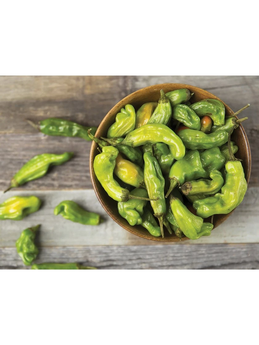 Shishito Pepper Organic Seeds 3 Shishito Pepper Organic Seeds