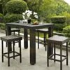 Crosley Palm Harbor Bar Height Dining Set -Garden Care Store 8611948 01v palm harbor 5pc outdoor wicker counter height dining set