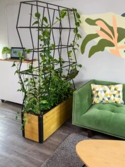 Self-Watering Partition Planter -Garden Care Store 8611952 001 tif