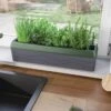 Provence Self-Watering Herb Planter -Garden Care Store 8611965 01V tif