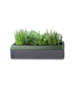 Provence Self-Watering Herb Planter -Garden Care Store 8611965 03V tif