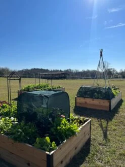 Pest Control Pop-Ups -Garden Care Store 8611989 05 tif