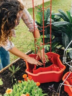 Deluxe Tomato Halos, Set Of 2 14 Deluxe Tomato Halos, Set Of 2 -Garden Care Store 8612045 135 tif