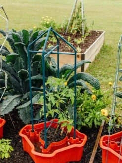 Deluxe Tomato Halos, Set Of 2 15 Deluxe Tomato Halos, Set Of 2 -Garden Care Store 8612045 221 tif