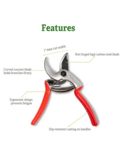 Castellari Mini Anvil Pruner 12 Castellari Mini Anvil Pruner -Garden Care Store 8612199 5