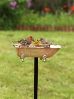 Copper Bathtub Birdbath -Garden Care Store 8612202 01v copper bathtub birdbath