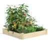 Pine Raised Garden Beds, 4'x4' 2 Pine Raised Garden Beds, 4'x4' -Garden Care Store 8612249 02v pine raised garden bed 4x4 feet