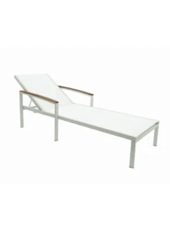 Braylee Reclining Chaise Lounge -Garden Care Store 8612262 08v