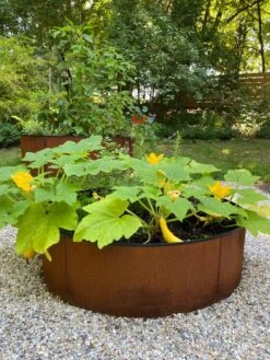 Birdies™ Corten Steel Round Raised Beds -Garden Care Store 8612422 0484 tif
