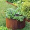 Birdies™ Corten Steel Round Raised Beds 1 Birdies™ Corten Steel Round Raised Beds -Garden Care Store 8612423 1537 tif