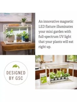 Tabletop Grow Kit -Garden Care Store 8612507 4