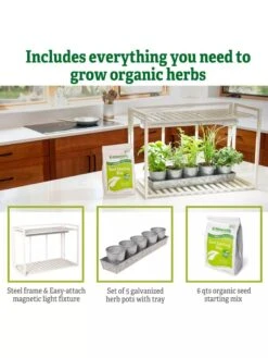 Tabletop Grow Kit -Garden Care Store 8612507 6