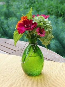 Achla Designs Teardrop Rooting Vase 11 Achla Designs Teardrop Rooting Vase -Garden Care Store 8612530fg 01v