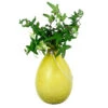 Achla Designs Teardrop Rooting Vase 2 Achla Designs Teardrop Rooting Vase -Garden Care Store 8612530ye 01v
