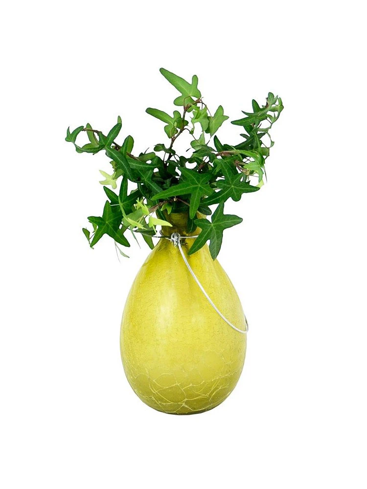 Achla Designs Teardrop Rooting Vase 3 Achla Designs Teardrop Rooting Vase