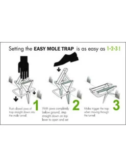 Easy Mole Trap 8 Easy Mole Trap -Garden Care Store 8612557 04v 1
