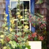 Summer House Outdoor Wall Art 1 Summer House Outdoor Wall Art -Garden Care Store 8612563 01v summer house outdoor wall art