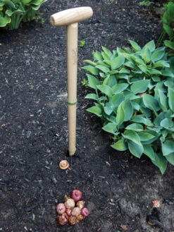 Wicked Big Dibber -Garden Care Store 8612667 0028