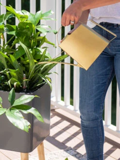 Precision Brass Watering Can -Garden Care Store 8612691 0011