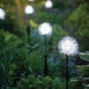 Dandelion Solar Stake -Garden Care Store 8612713 7149 dandelion solar stake