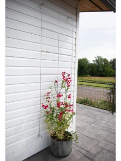 Chicken Wire Wall Trellis -Garden Care Store 8612717 0081